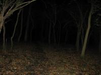 Chicago Ghost Hunters Group investigates Robinson Woods (128).JPG